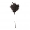 feather simraci pericko male cerne img ss10070 fd 3