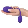 gogasm vibracni vajicko pro vaginu a analek fialove img 05349510000 nor c fd 111