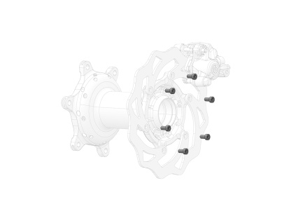 REAR BRAKE DISC SCREW (1 UNIT)
