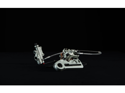 REAR FOOT BRAKE ASSEMBLY
