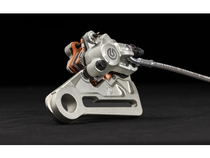 REAR BRAKE CALIPER ASSEMBLY