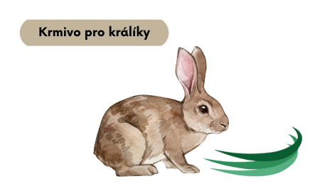 Krmivo pro králíky