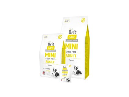 britcaremini adult 1