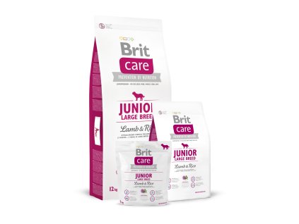 juniorlargebreed lambrice 1