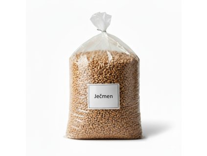 Ječmen