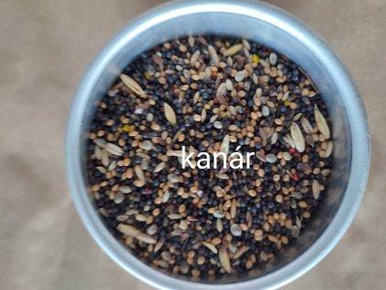 Kanár
