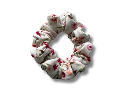 Návrh bez názvu (63)