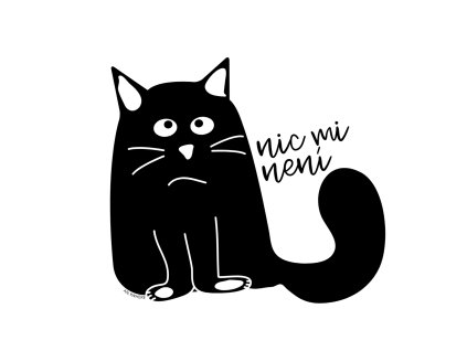 NAŽEHLOVAČKA NIC MI NENÍ černá