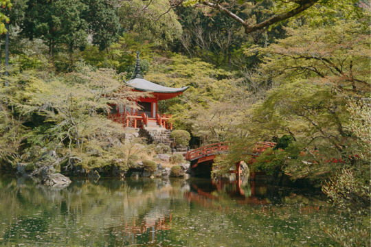 Jak vybrat film do fotoaparátu – #2 běžné denní světlo