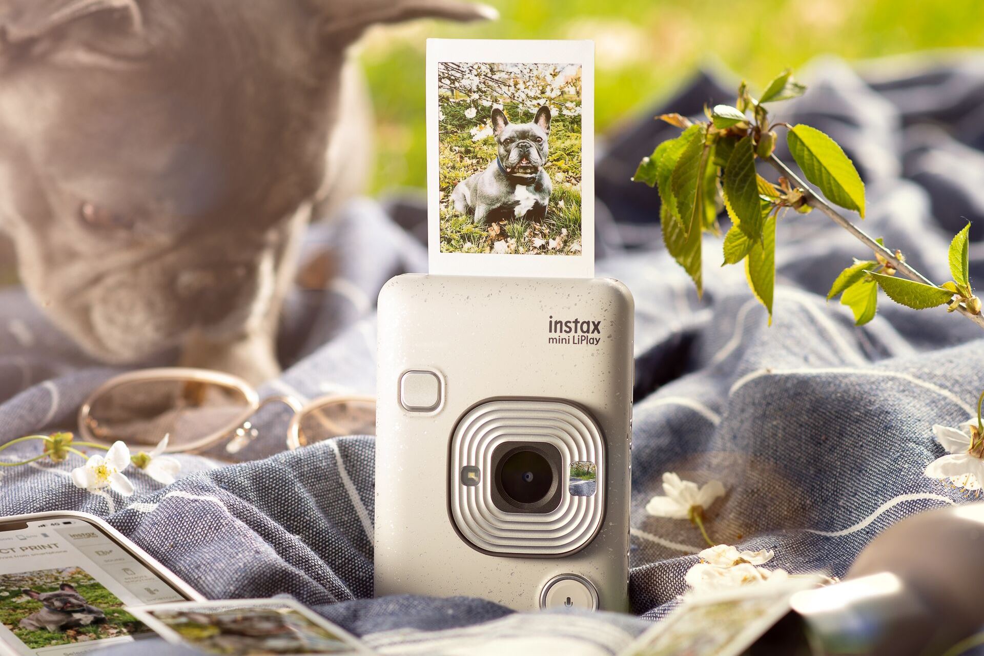 Fotoaparáty Instax - #1 Jaké typy fotoaparátů existují