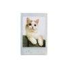 Instax Mini Film Soft Glitter4