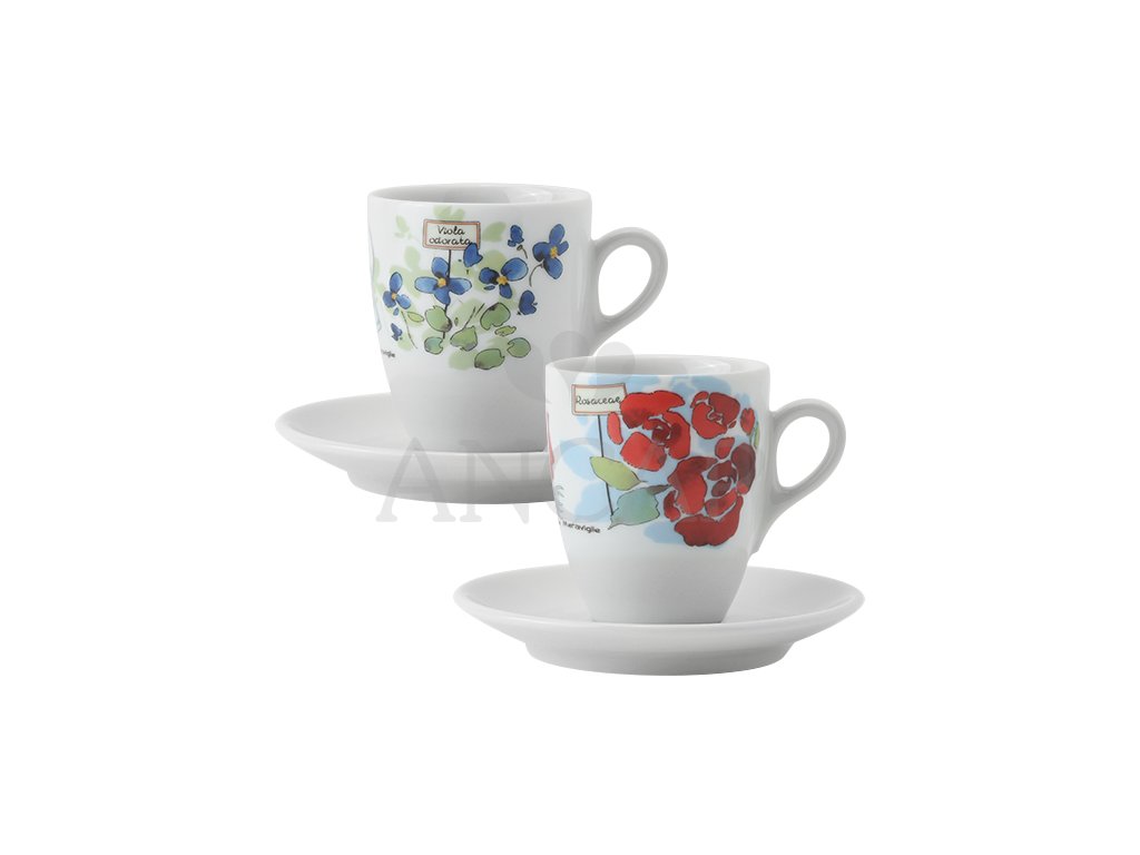 La Dolce Vita Espresso Cups - Set of 6 - Free Shipping – La