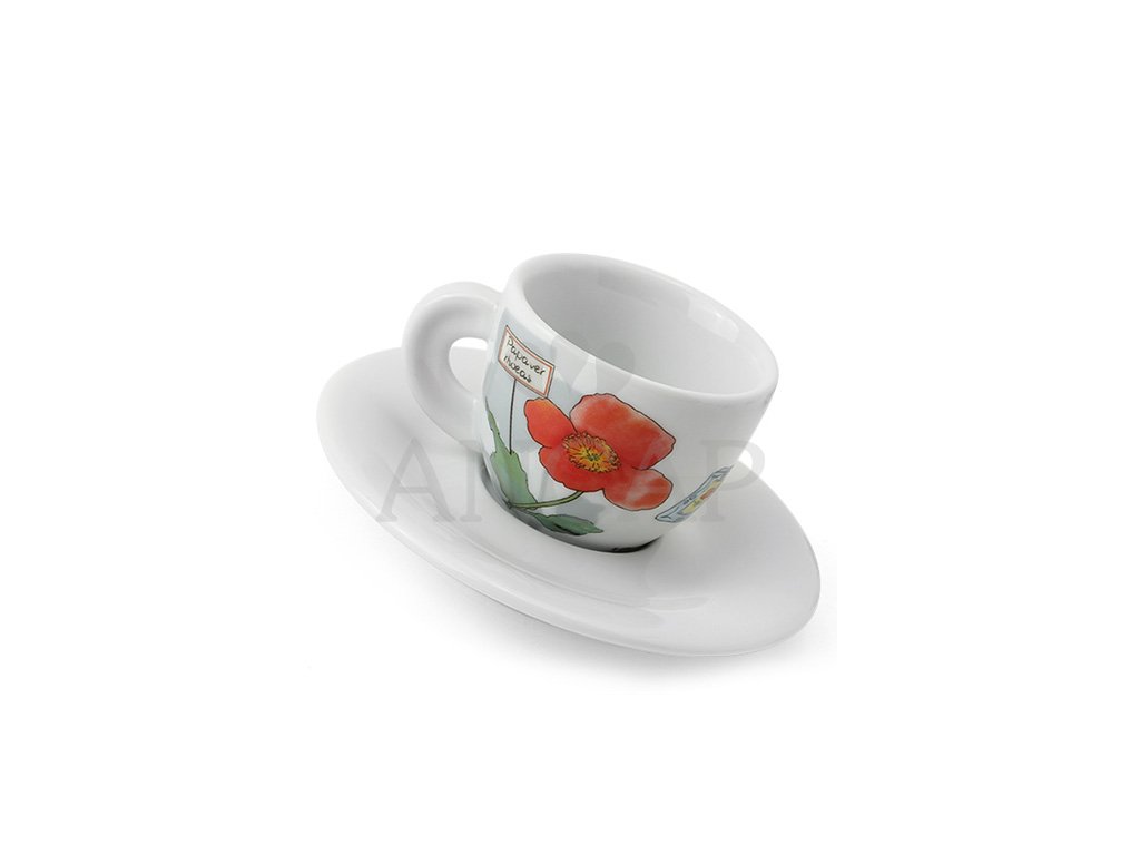 Arlecchino Edizione Edex Espresso Cups - 2oz