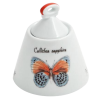 ancap-magie-cukrenka-giotto-s-poklickou-150-ml