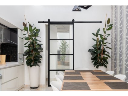 56347 dvere s kovanim klasiko hlinikove 01 cierne clr