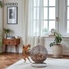 COCO 5 Photoroom