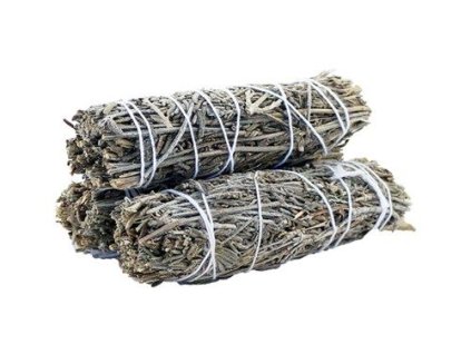 Šalvěj levandulová svazek pro vykuřování, 10 cm, 1 ks