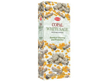 HEM Vonné tyčinky Copal White Sage, 20 ks