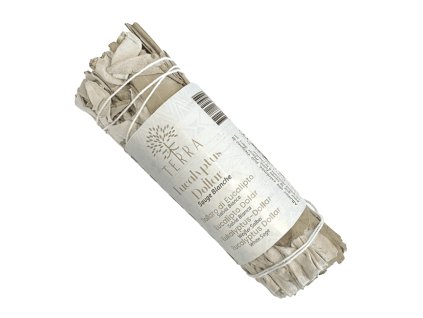 TERRA Svazek pro vykuřování White sage a Eucalyptus Dollar (Šalvěj bílá a Eukalyptus), 10 cm, 20 30 g.