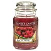 Yankee Candle Vonná svíčka Zralé třešně (Black Cherry), 623 g
