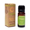 Song of India Organic Essential Oil Patchouli Vanilla (Pačuli a vanilka), 10 ml