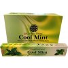Garden Fresh Vonné tyčinky Cool Mint, 15 g.