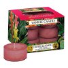 Yankee Candle Čajová svíčka Tropical Jungle (Tropická džungle), 12 ks