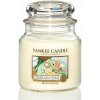 Yankee Candle Vonná svíčka Christmas Cookie (vánoční cukroví), 411 g