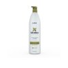 Šampón na jemné vlasy bez objemu ASP - Volume Enhance (Variant 250ml)