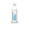 asp moisture boost kondicioner 1000ml andopa sk