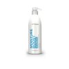 asp moisture boost sampon 1000ml andopa sk