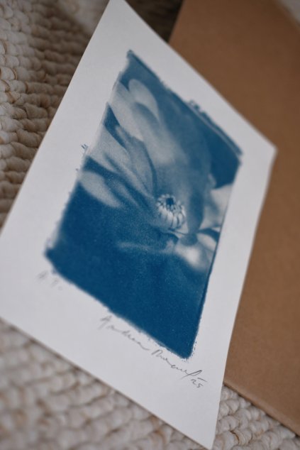 autorský tisk MAGNOLIA STELLA A5