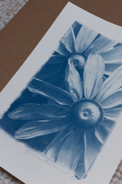 autorský tisk A4 RUDBEKIA