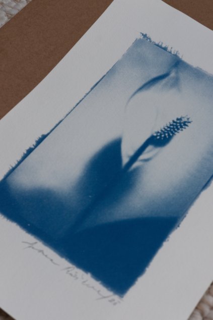 autorský tisk POKOJovka A5