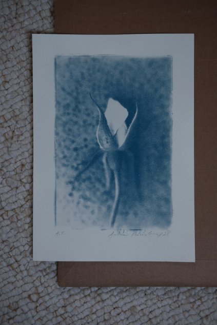 autorský tisk A4 POUPĚ