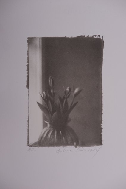 autorský tisk TULIPÁNY