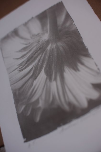 Autorský tisk MĚSÍČEK