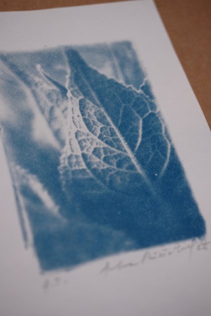 autorský tisk A5 DIVIZNA