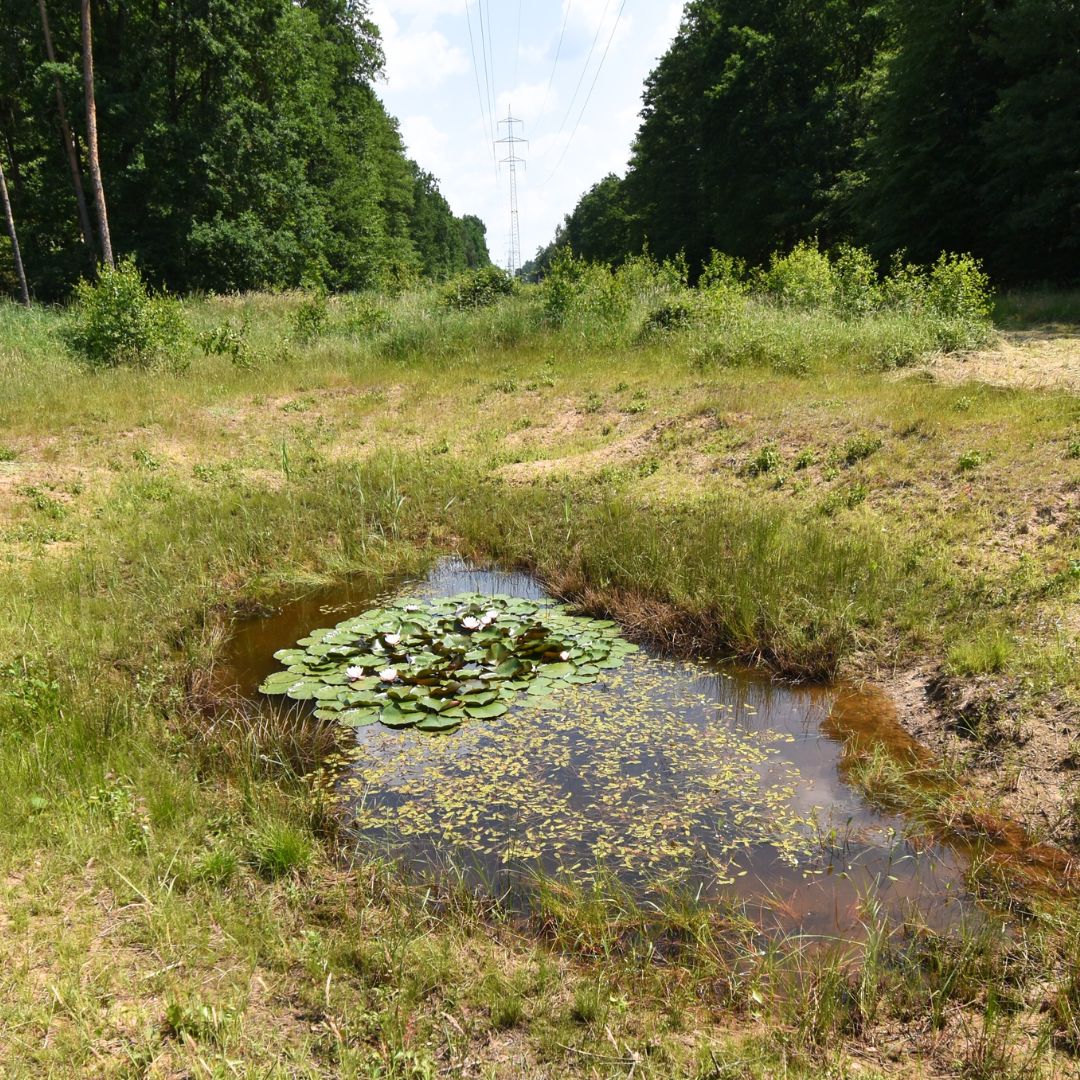 Zadržovat vodu nese své plody, v pleti i přírodě