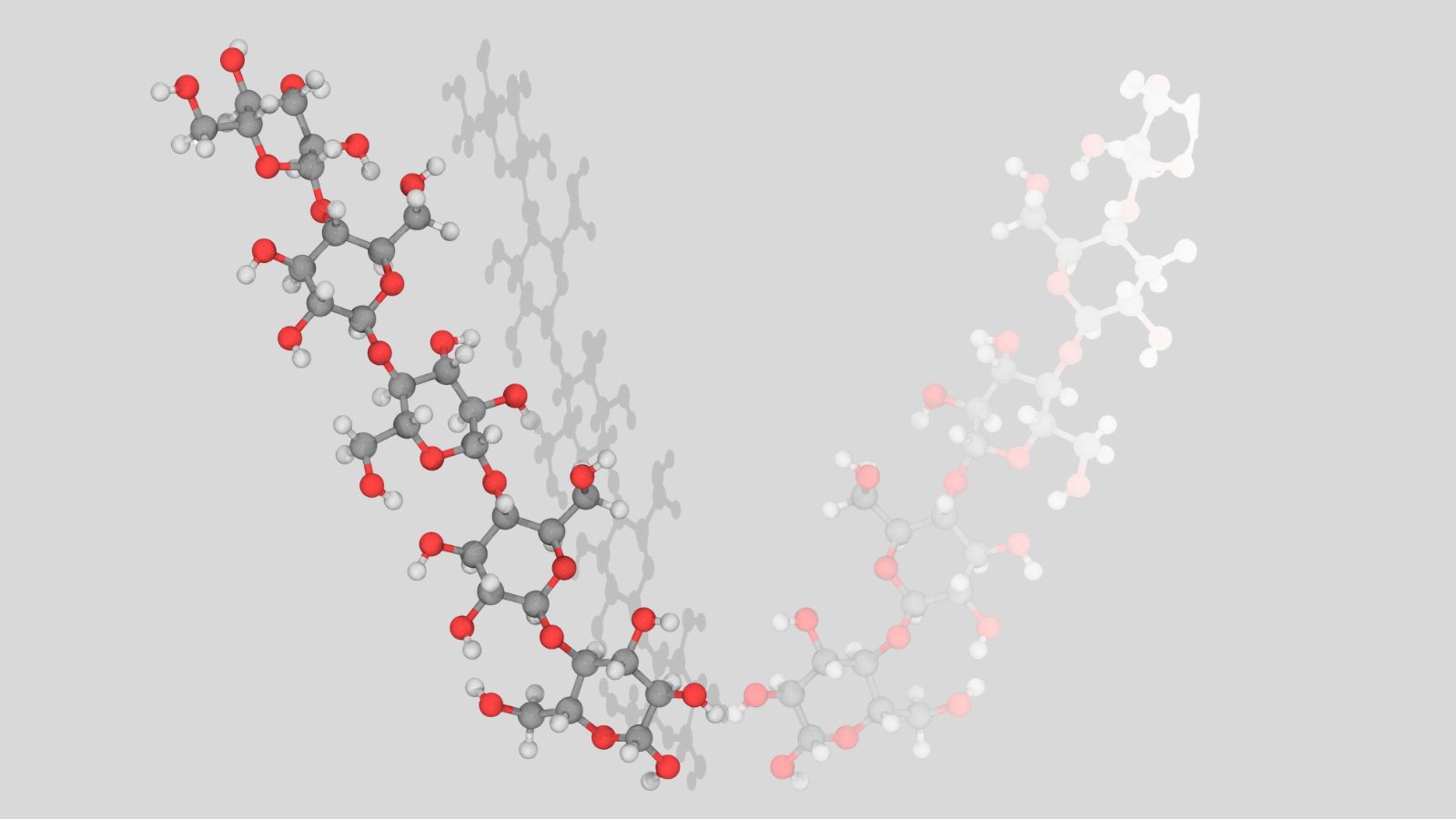 Sladké pohlazení pro vaši pleť aneb proč si zamilovat sacharidy a polysacharidy
