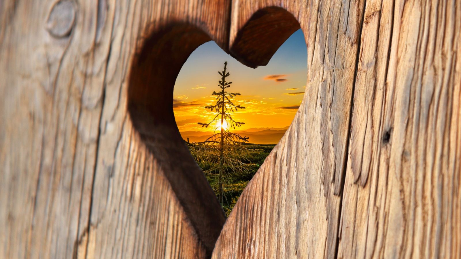 Vidíme se srdcem. I vy můžete...