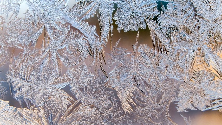 Když mráz maluje nejen po oknech… Jak na péči o pleť v zimě?