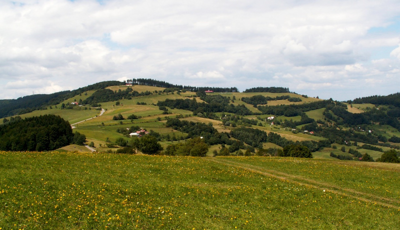 PICT0004