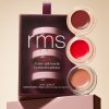 rms little lip2cheek kit set multilicidiel na pery a licka 2