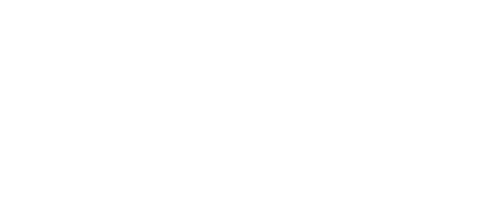 Aner Shoes