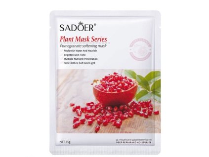 pomegranate web icoo