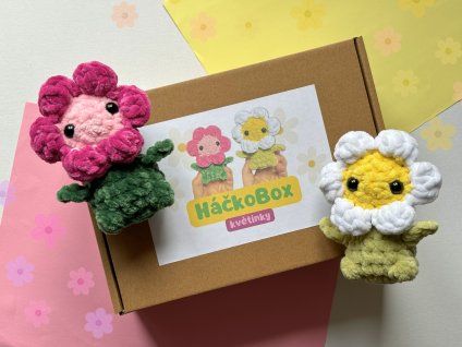 Valentynsky HackoBox 10