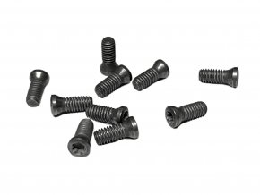 28007/27242 Vis de fixation pour plaquettes de coupe (lot de 10 pièces)