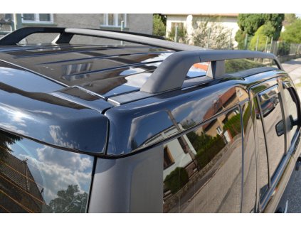 Freelander lyžiny (2)