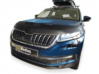 Kodiaq ab 17 1